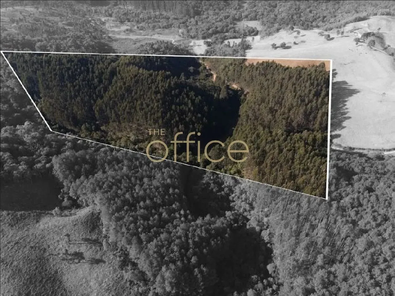 EXTENSO TERRENO À VENDA EM CAMPO ALEGRE, 80509 M² - ZONA RURAL/SC-280
