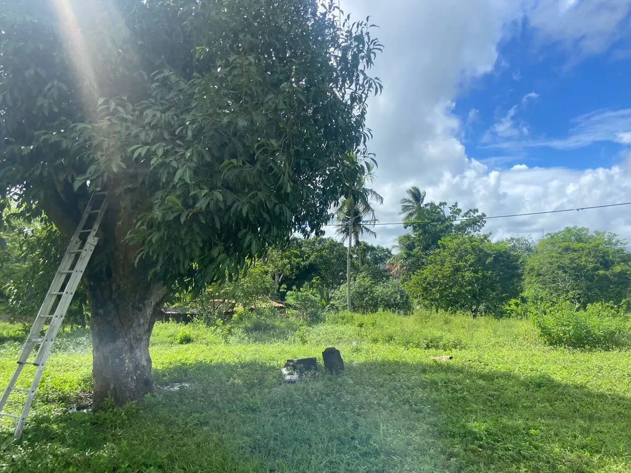 Chácara em Riachuelo-SE  - Foto 4