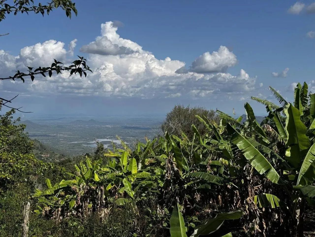Terreno para venda, Camará, Aratuba - Foto 5