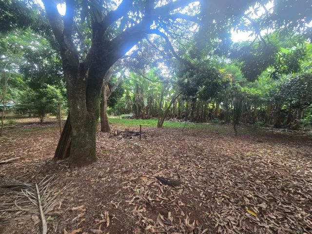 Quadra 38 do São Carlos - 4.354,95 m². Avenida Dona Elvira - Foto 3