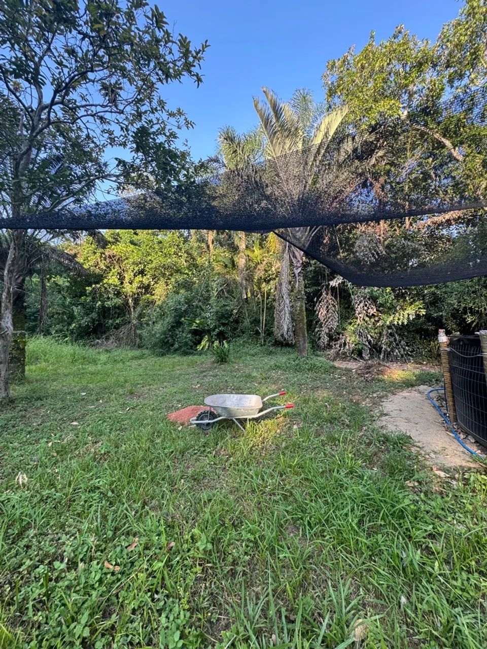 Sítio de Piscicultura - Produção Rural Camarão e Tilápia  - Foto 5