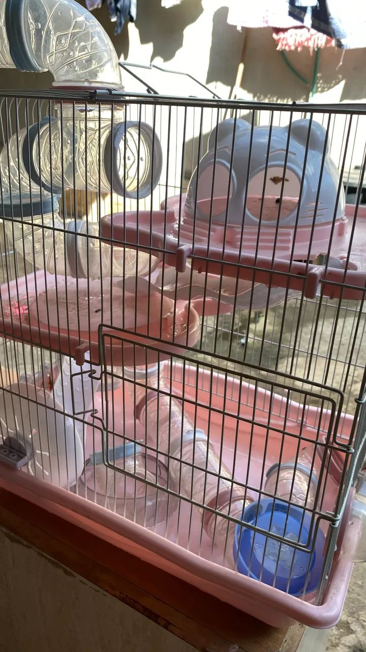 GAIOLA PARA HAMSTER SEMINOVA - tratar preço no pv - Foto 2