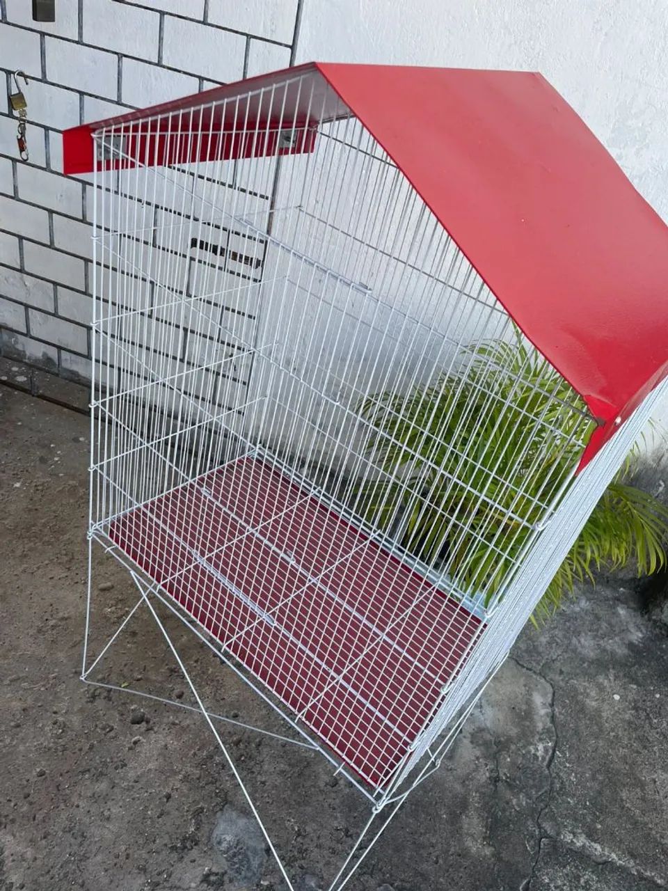 Viveiro grande  - Foto 3