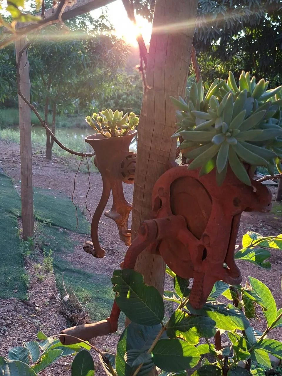 Chácara /sitio / fazenda - Foto 3