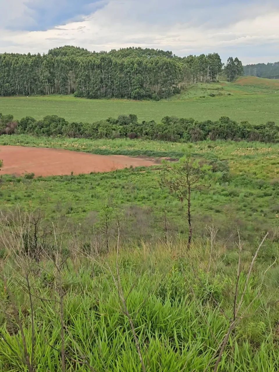 Terrenos Loteamento em Poços de Caldas - Foto 2
