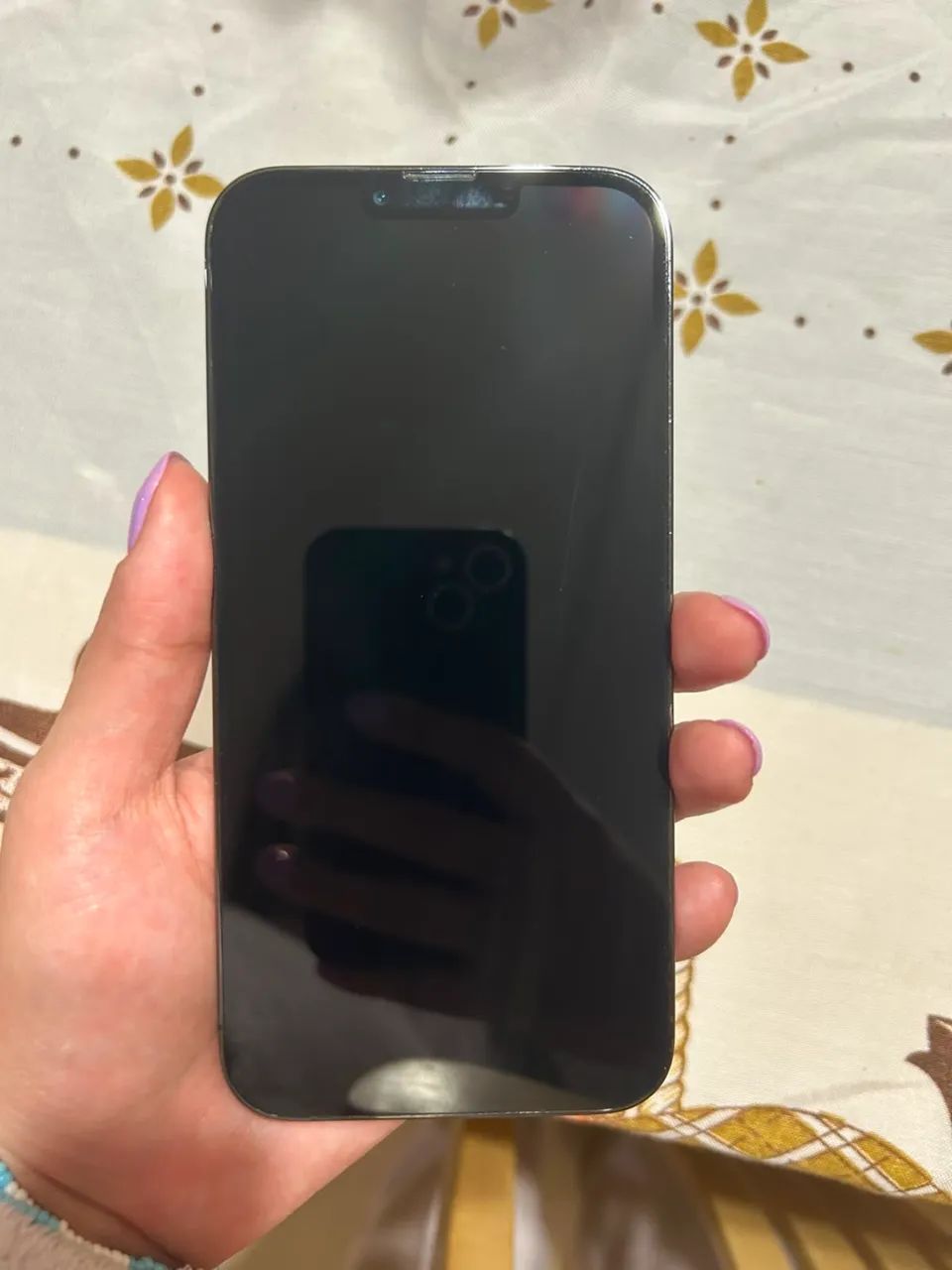 iPhone 13 Pro Max Grafite 