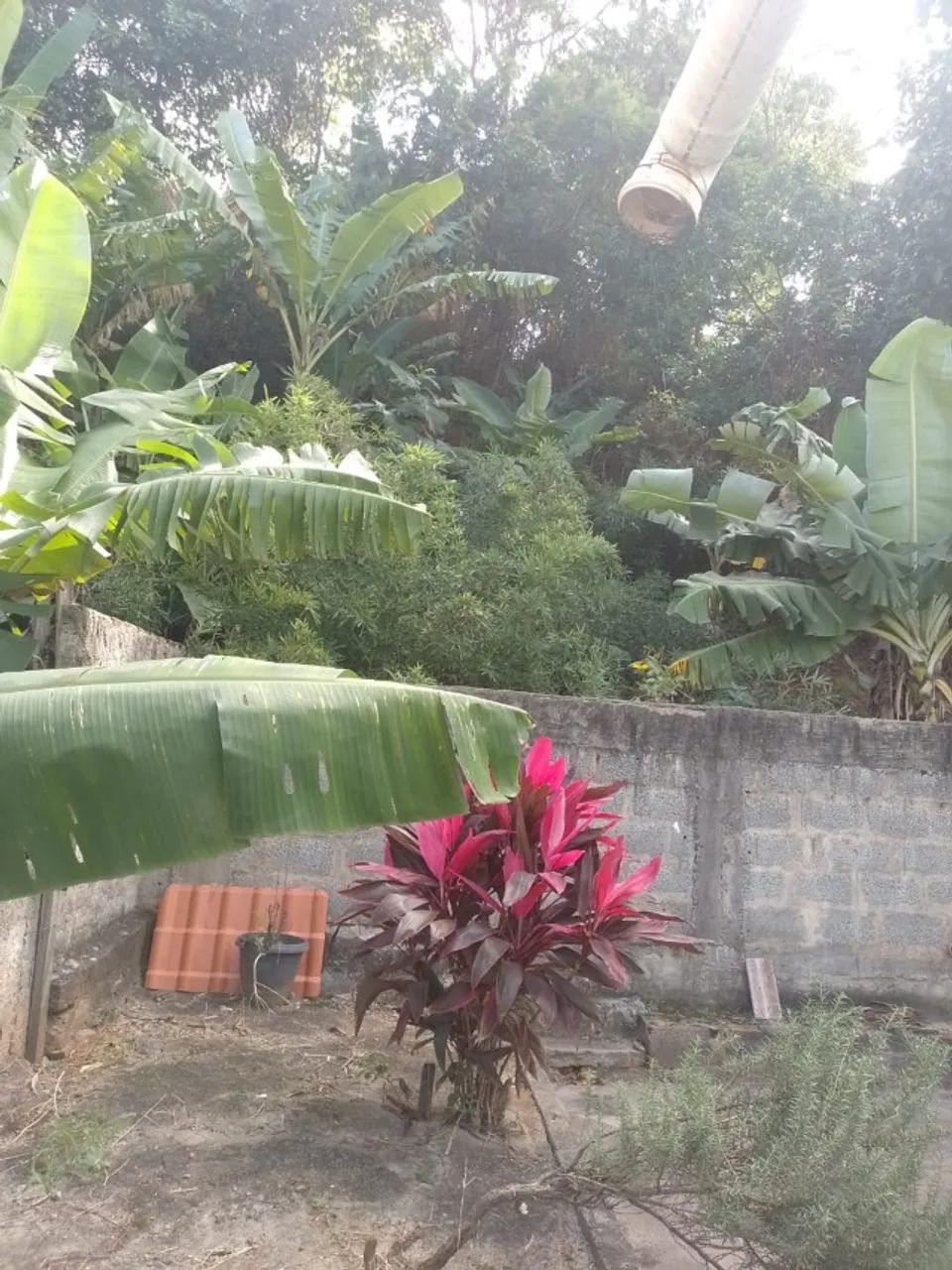 Vende-se imóvrel 2 Residências + comércio - Foto 4