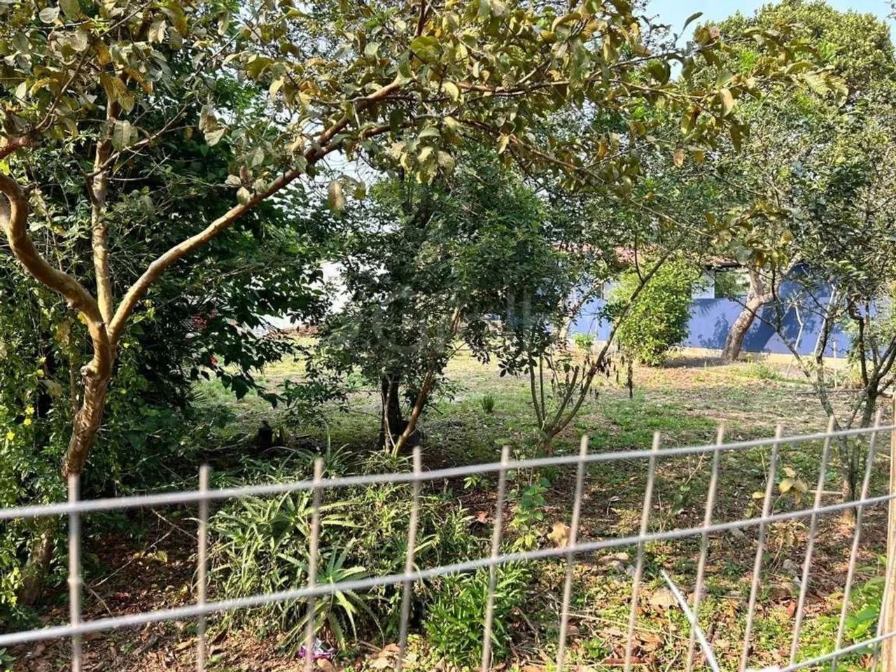 Terreno para Venda em Florianópolis, Campeche - Foto 3