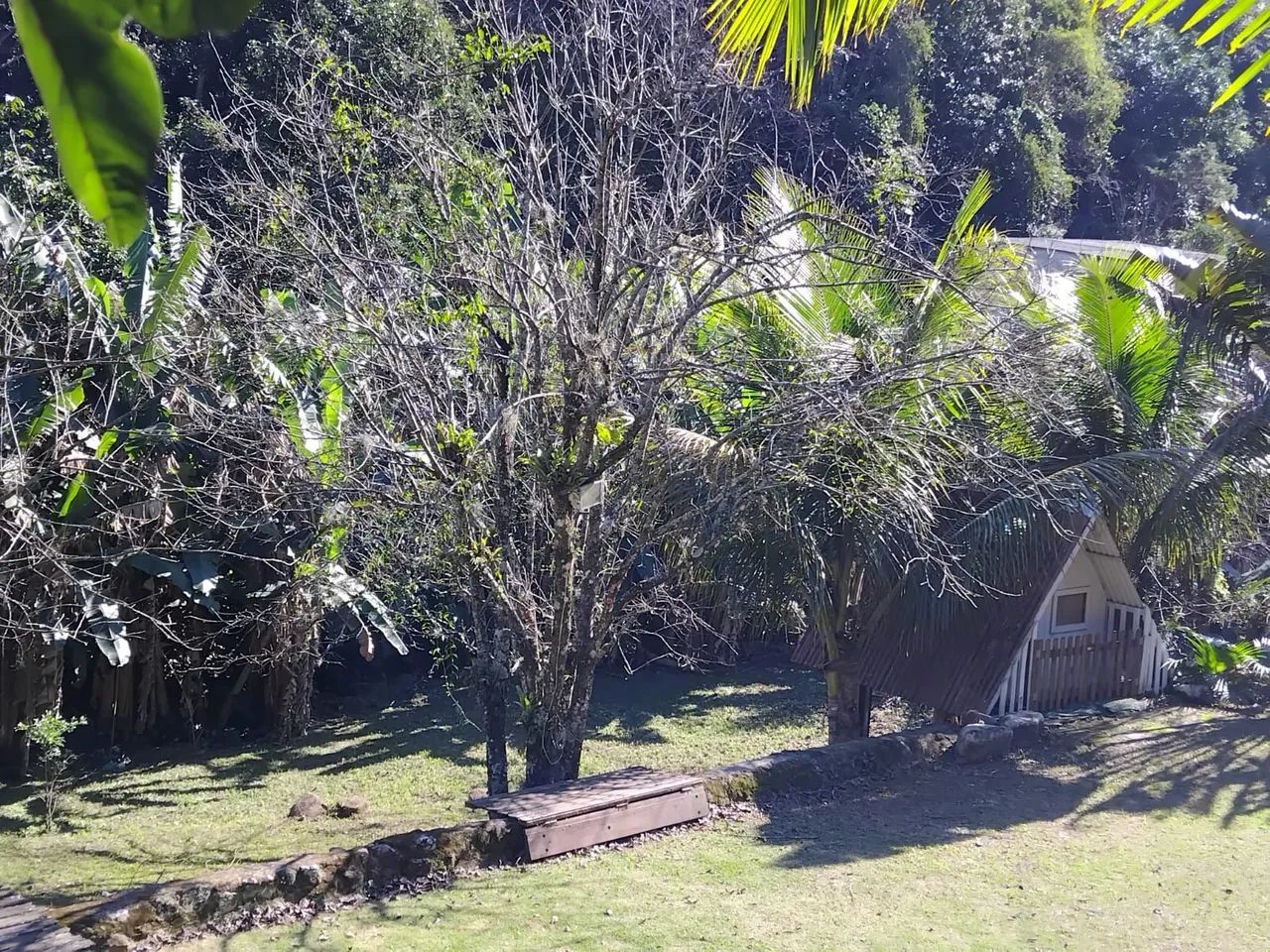 Vendo chácara no Rio da Prata - Foto 4