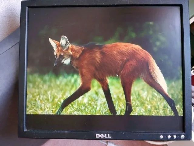 Monitor Dell e177fp preto