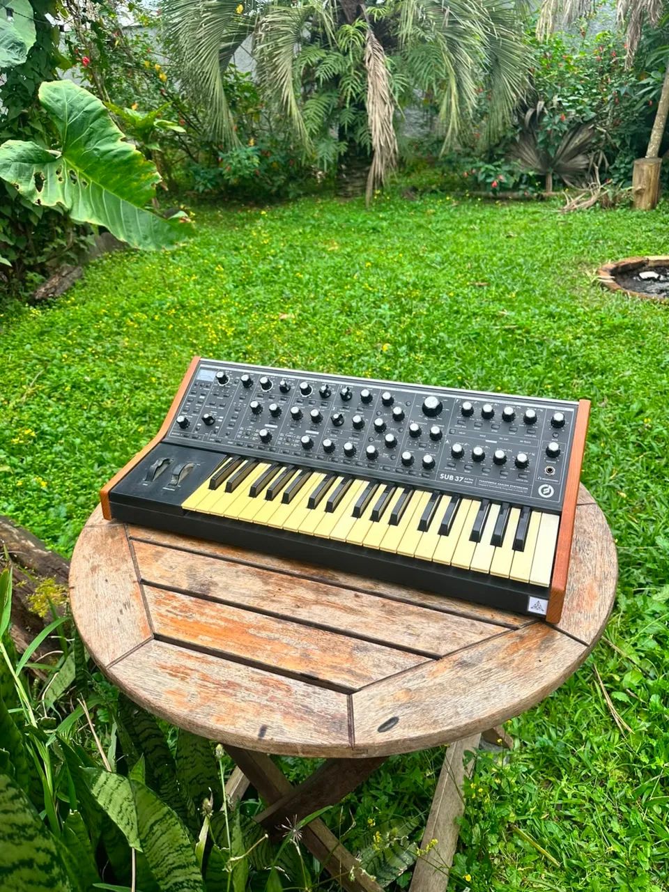 Moog subsequente - Foto 4