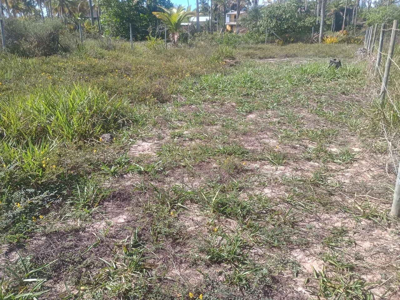 Vendo terreno em canavieiras  - Foto 3