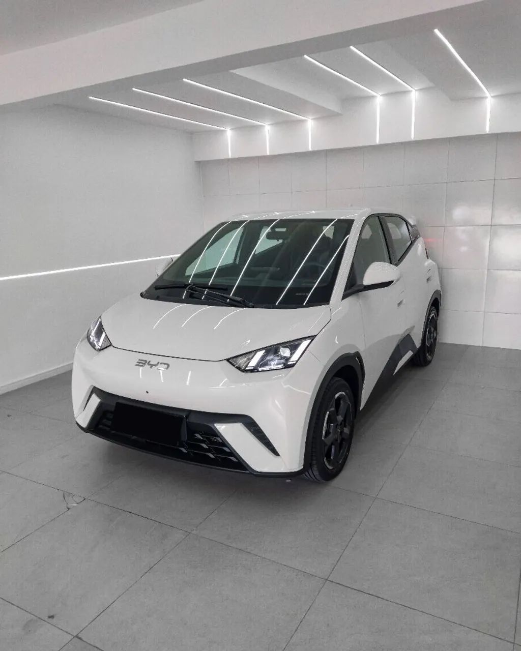 BYD Dolphin Mini (Elétrico) 2025 - Foto 4