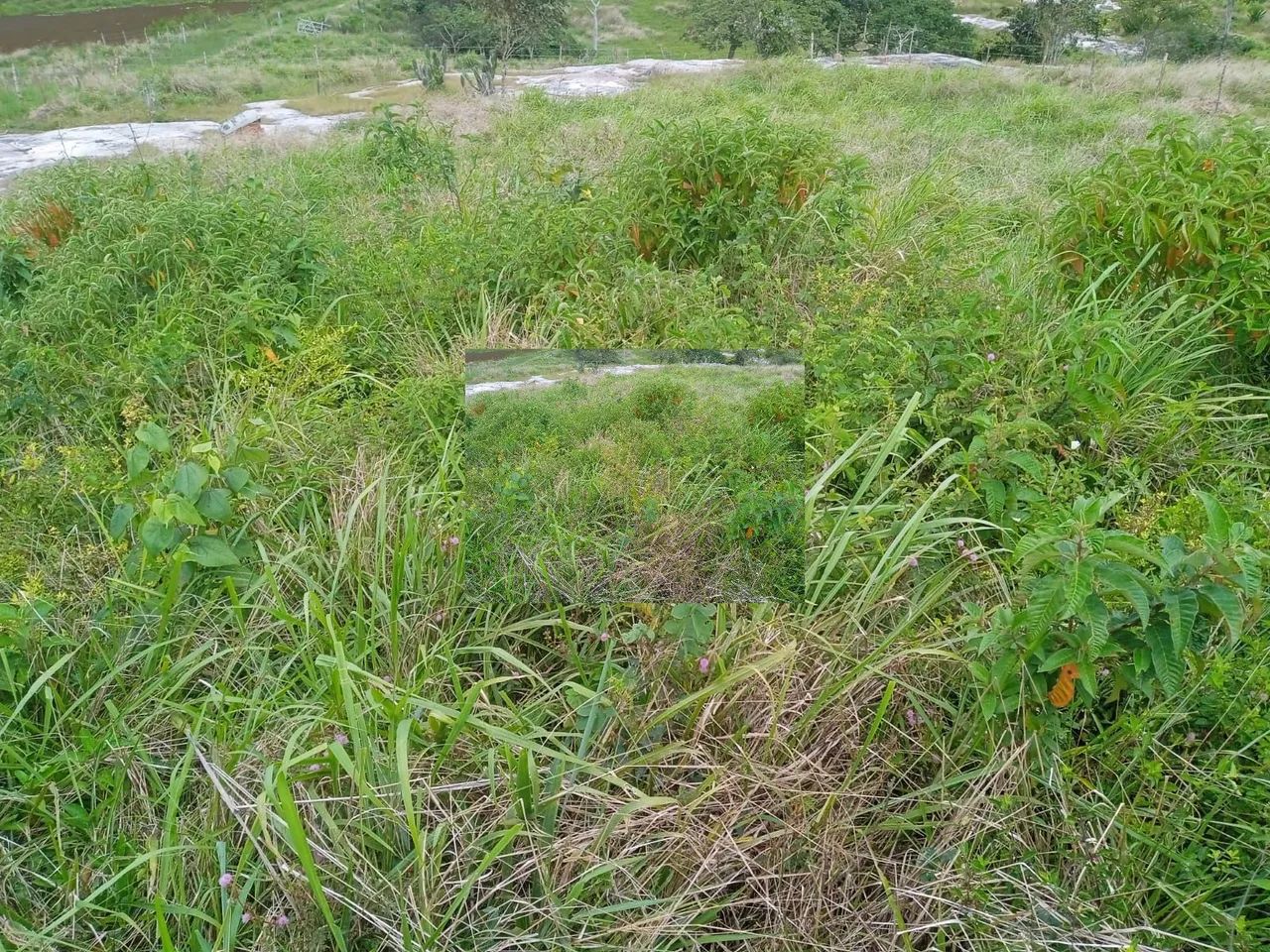 Terrenos