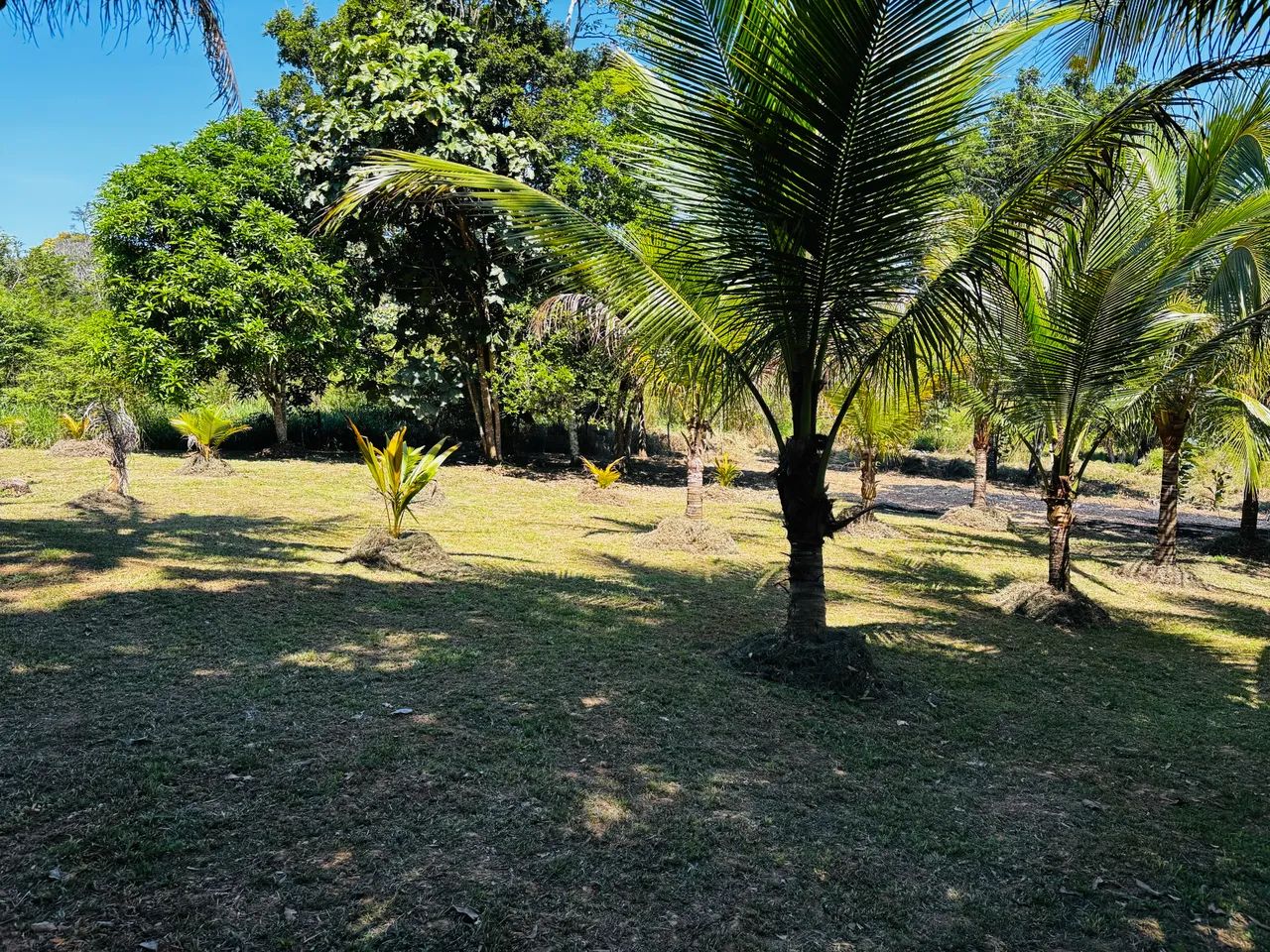 Vendo esta chácara  - Foto 3