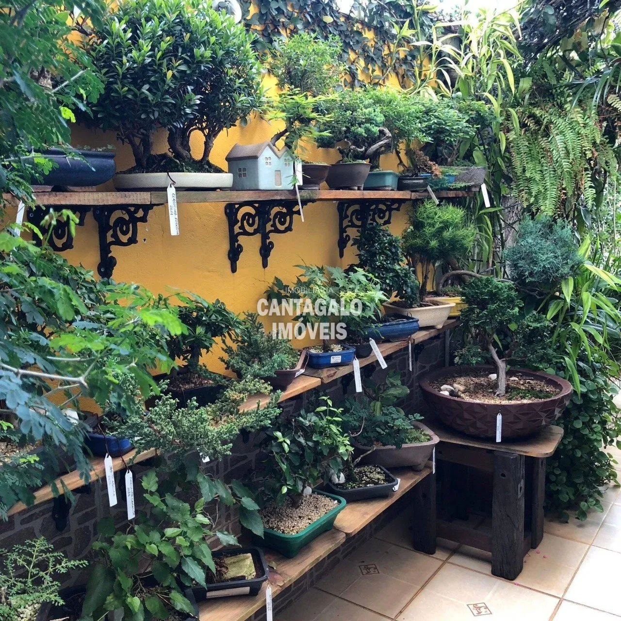 Linda casa à venda na Vila Matilde, SP - Foto 4