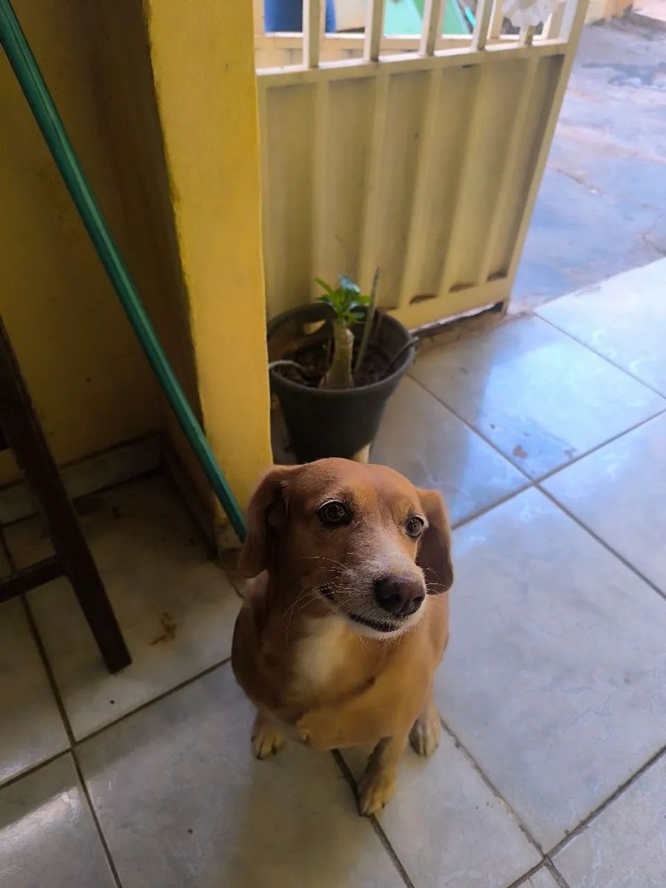 Doação 