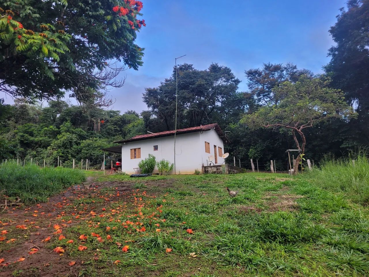 Foto - Contagem - Linda Vista