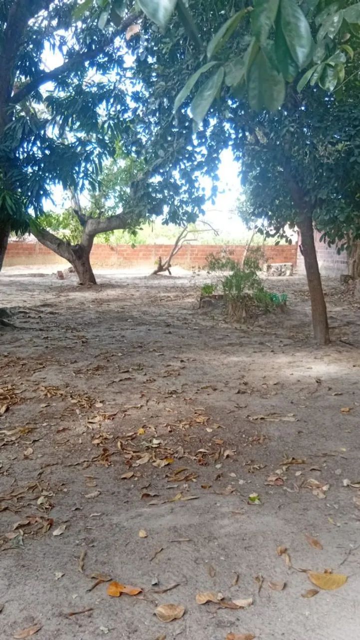 Vendo sítio com casa no horizonte bairro catu - Foto 4