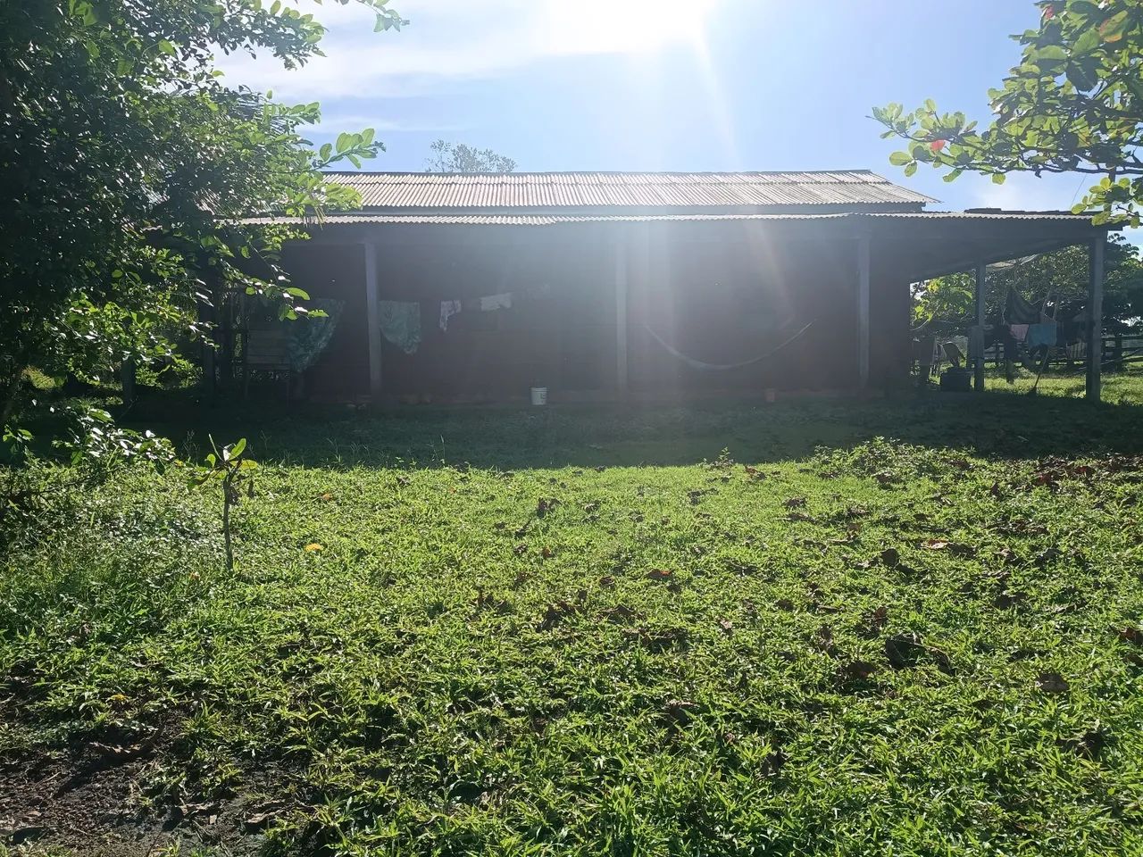Fazenda com moradia  - Foto 4