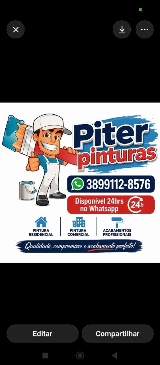 Pintor Profissional 