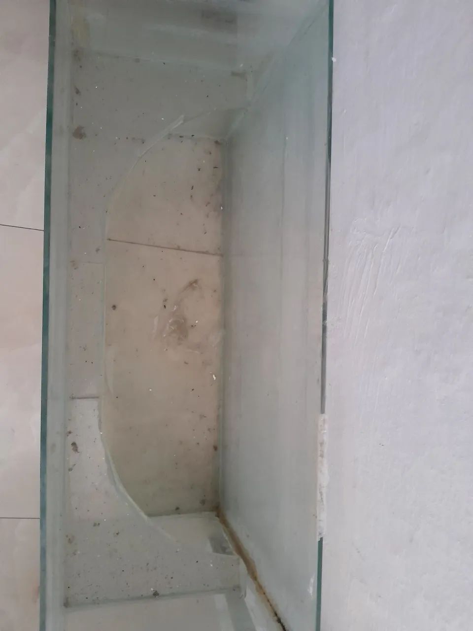 Aquário  - Foto 3