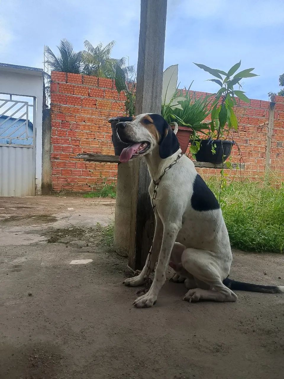 Vendo  - Foto 2