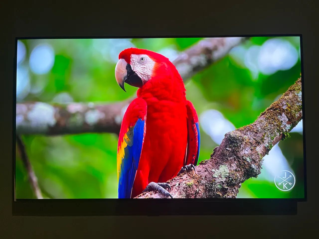 TV 48" OLED 4K LG OLED48 C2PSA SMART WIFI/BT/HDMI.  - Foto 2