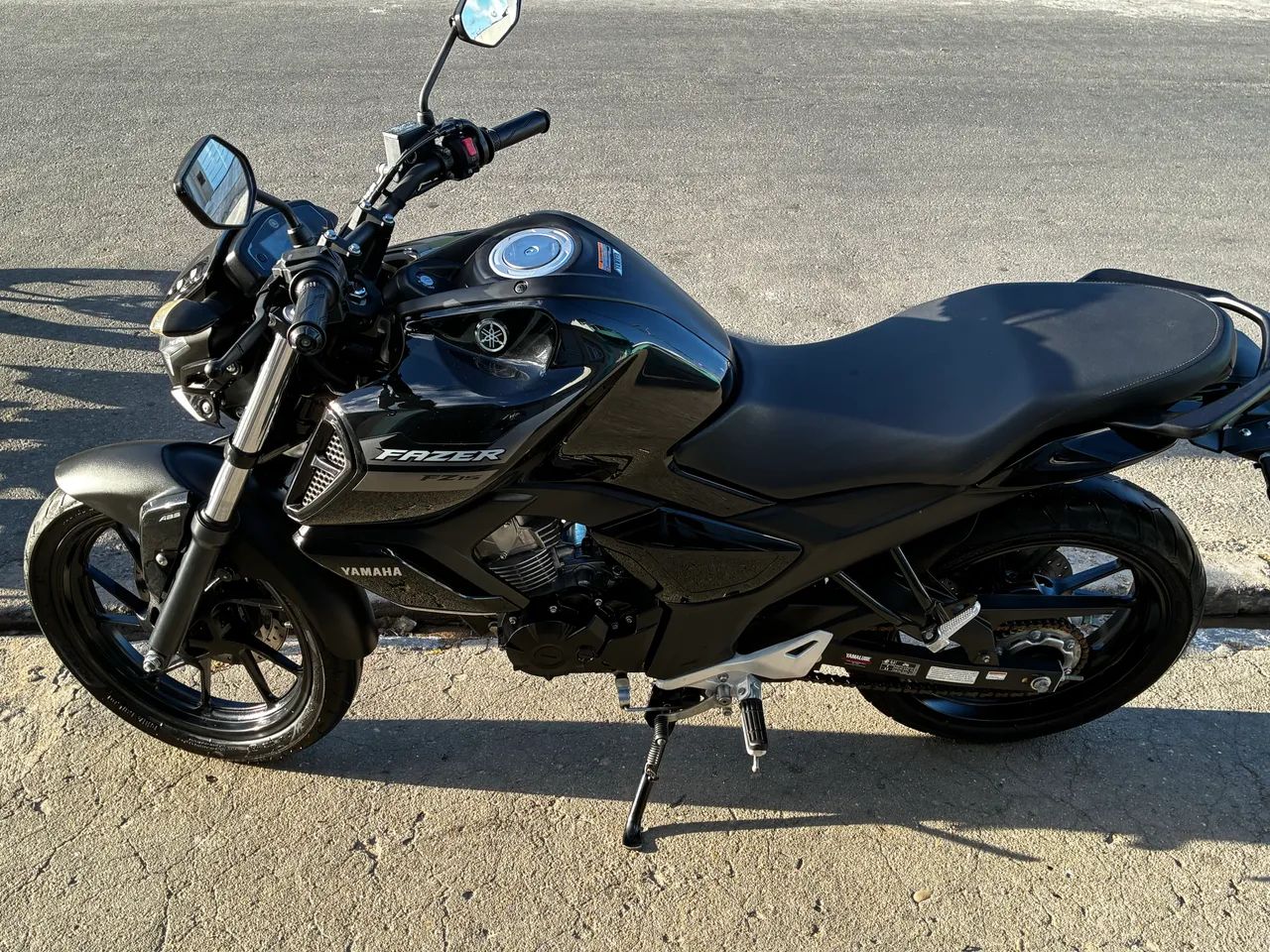 Fz15 2024
