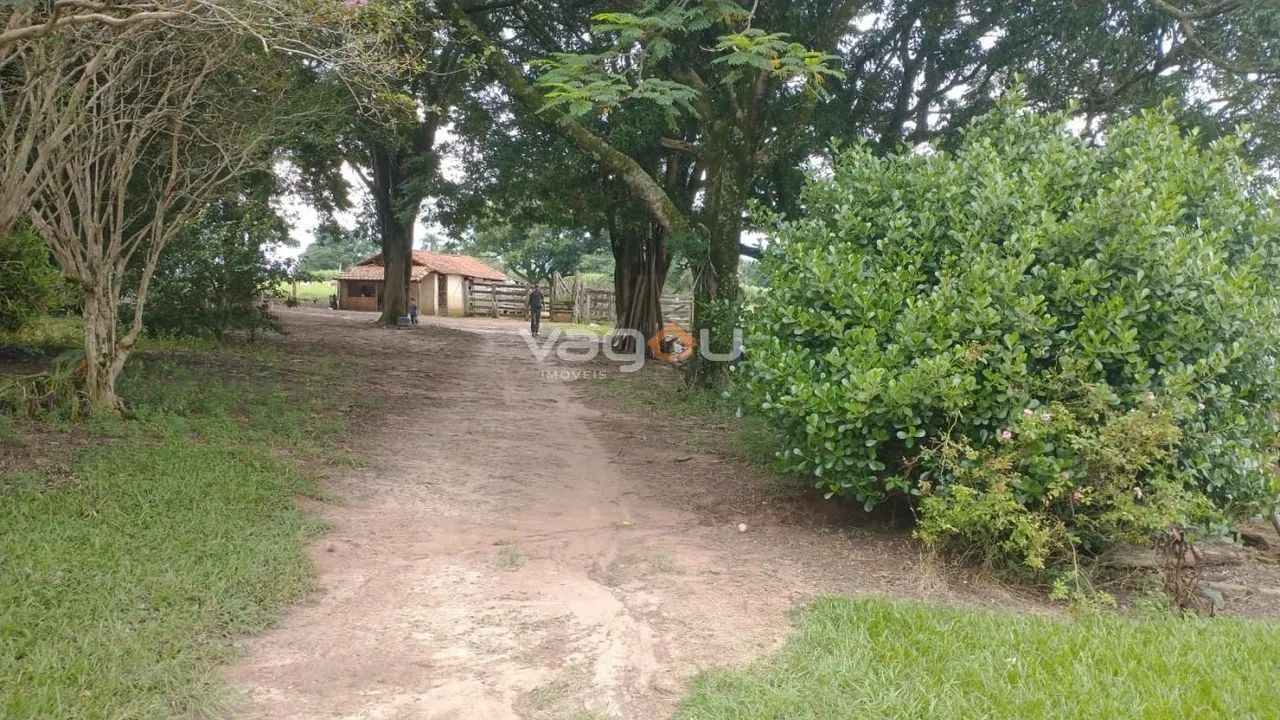 Sítio para Venda em Tatuí, Centro - Foto 4