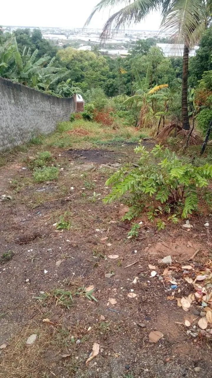 Terreno