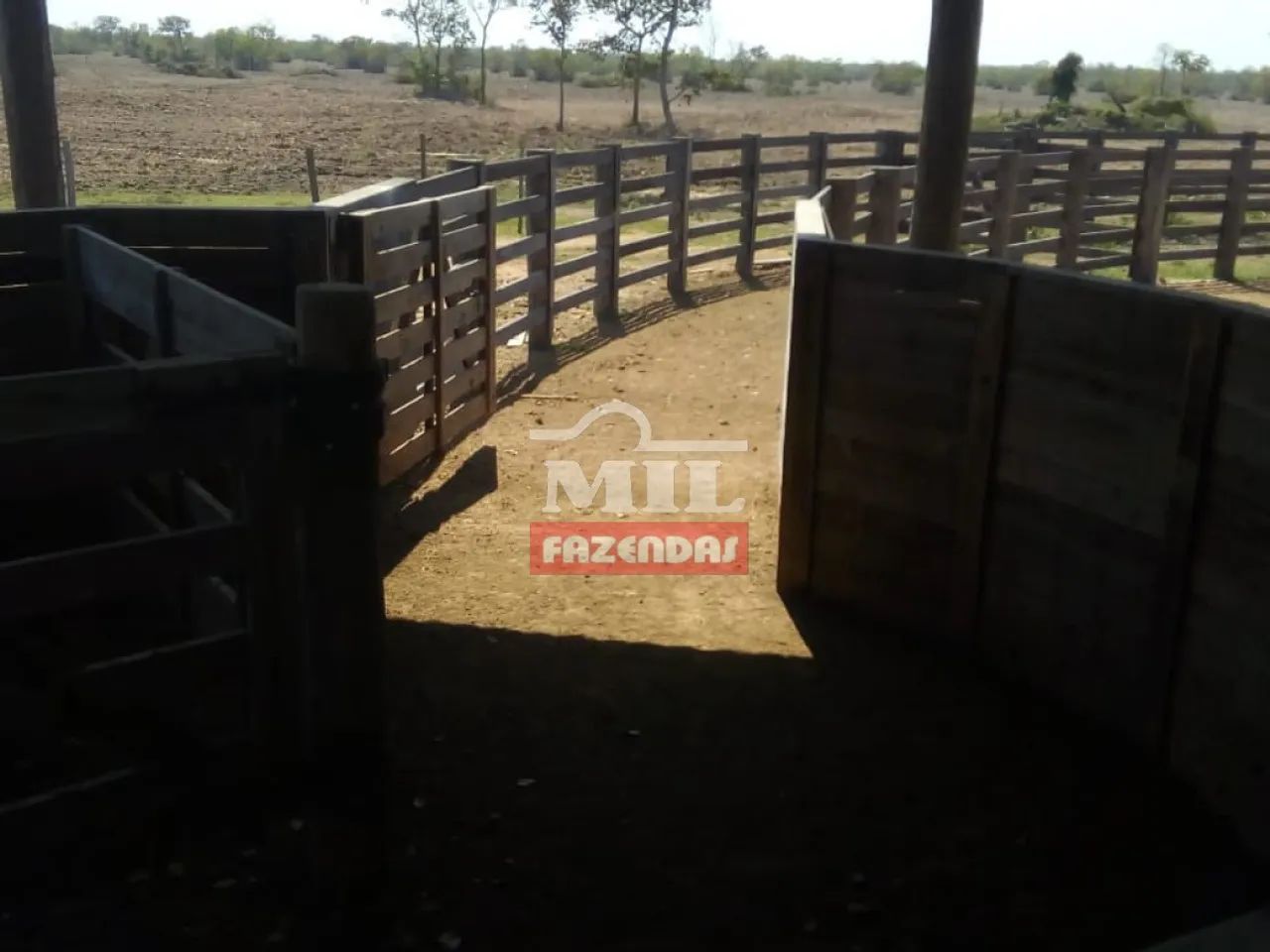 Fazenda 7.000 hectares Cuiabá - MT - Foto 4