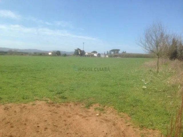 Fazenda à Venda em Juara - MT - Foto 5
