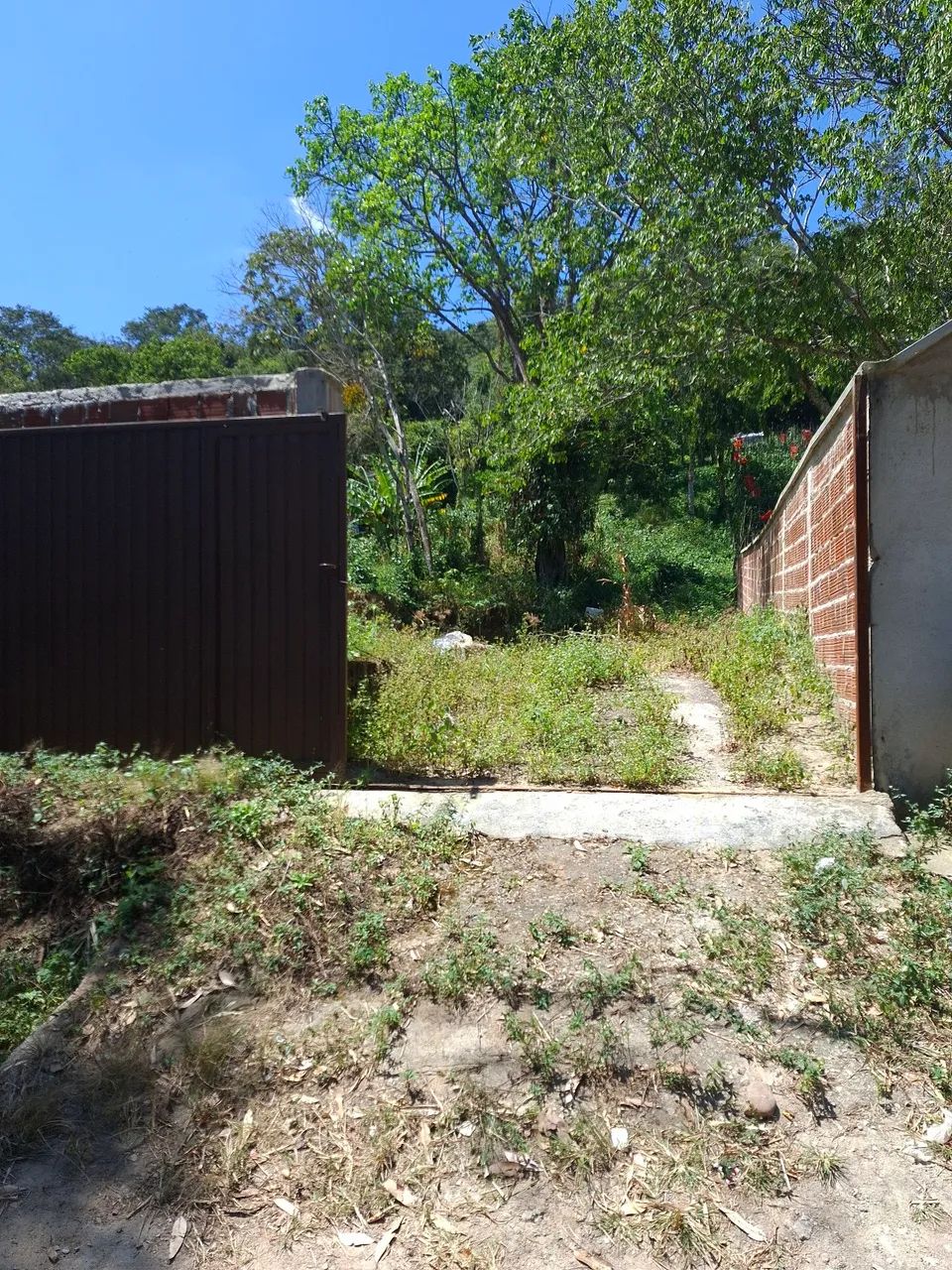 Vendo Terreno (Mulungu, CE) Rua do Fórum  - Foto 5