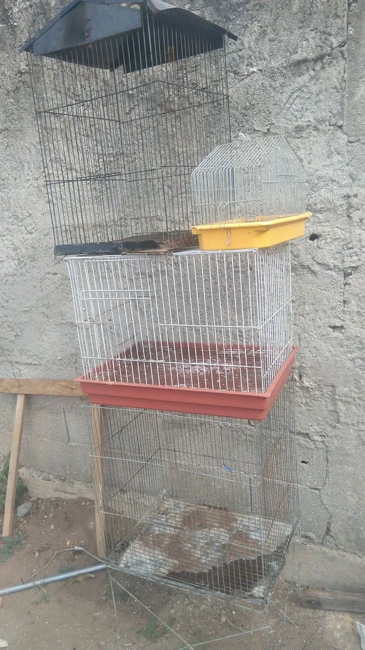 Gaiolas 
