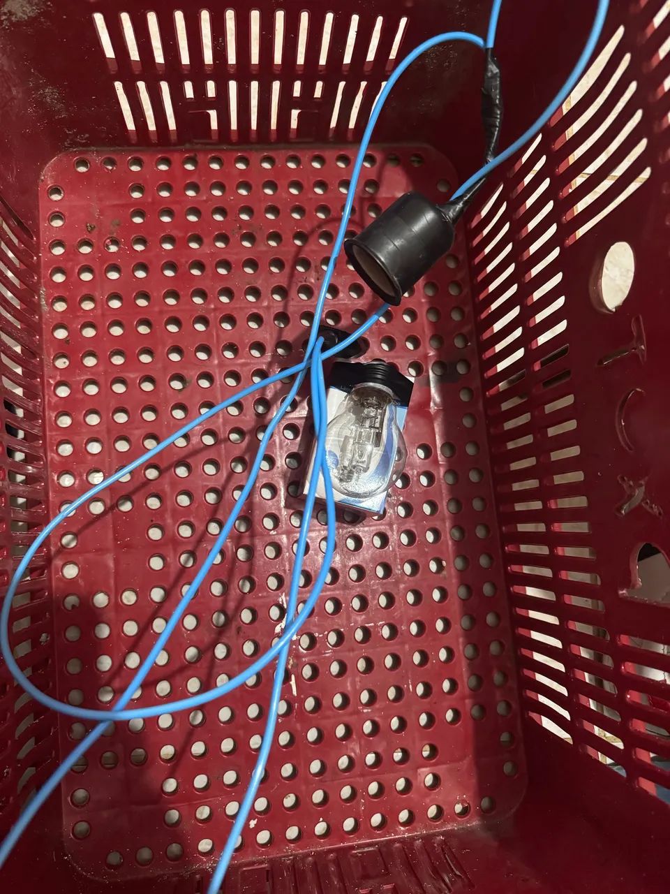 Kit pinteiro lâmpada fios e caixa 