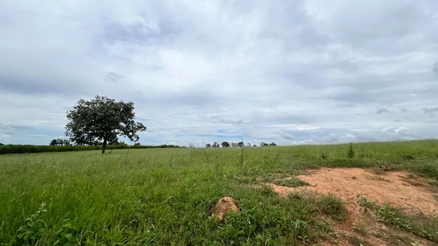 Chácara - 32 mil metros - Goianápolis - Foto 4