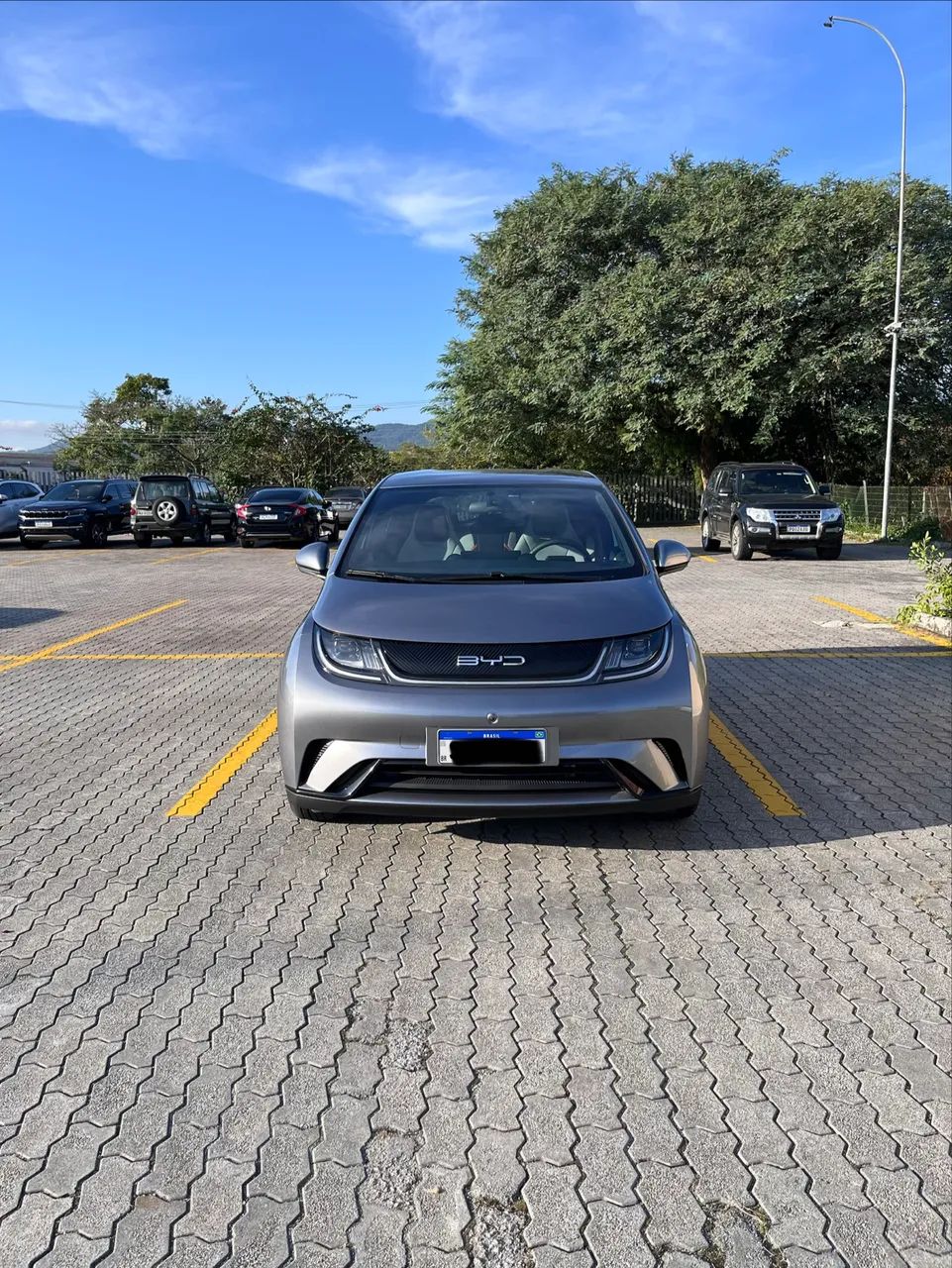 BYD Dolphin EV (Elétrico) 2025 - Foto 3