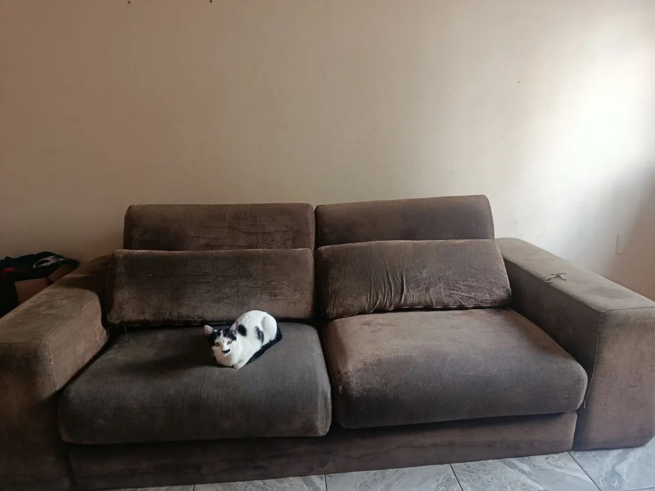 ? Vendo 2 sofás por R$ 450! - Foto 2