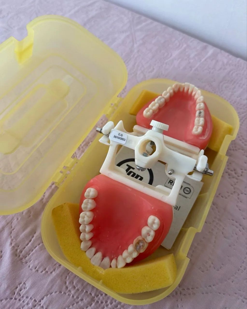 Manequim Pronew Dentistíca  - Foto 2