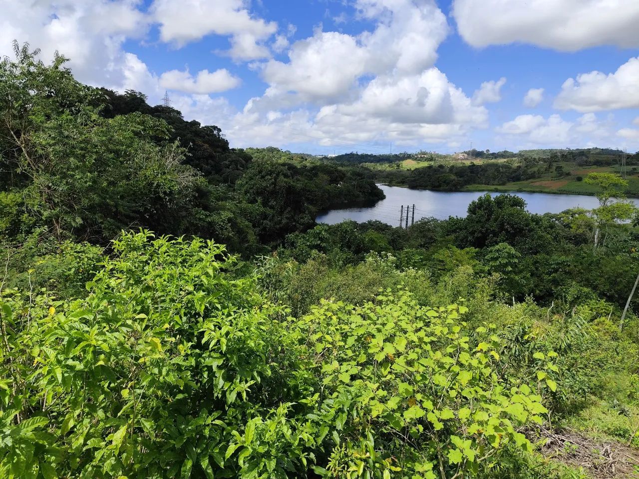 7 tarefas de terra em Cotegipe 