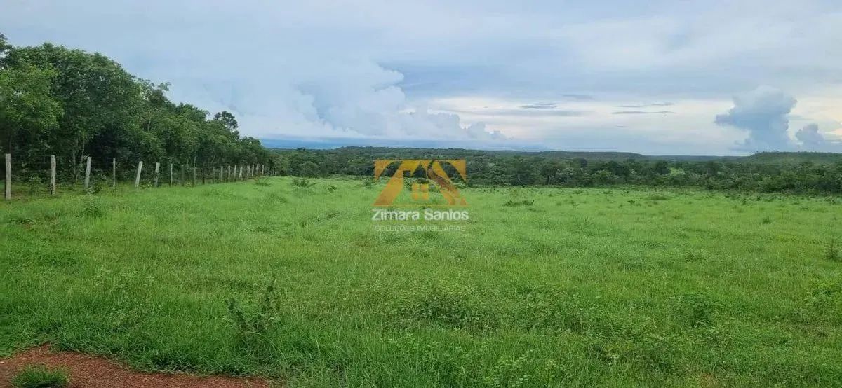 Fazenda com 53,5 Alqueires - Zona Rural - Aparecida do Rio Negro/TO