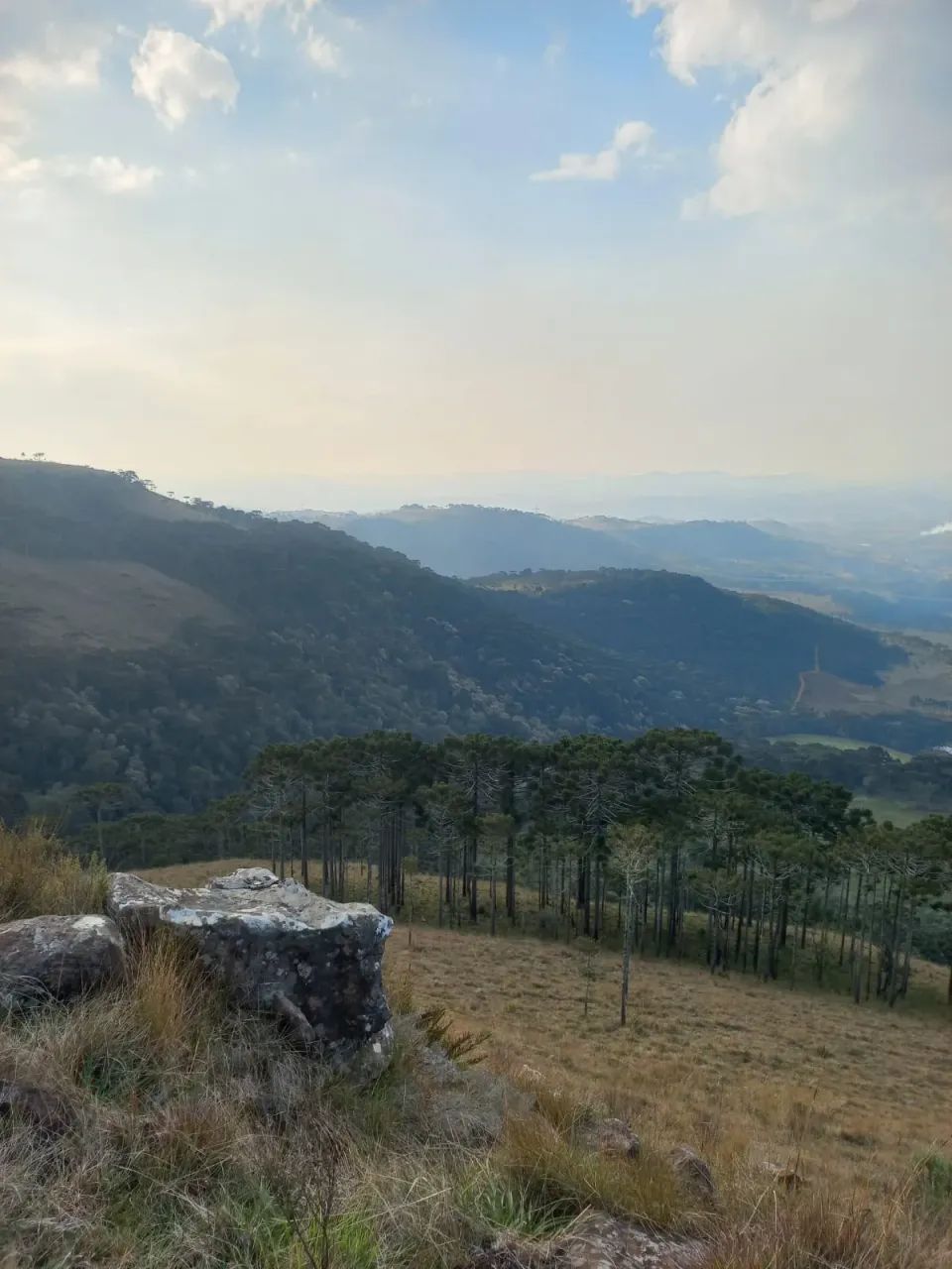 57,8 hectares de matas e campos na Serra Catarinense - Foto 3