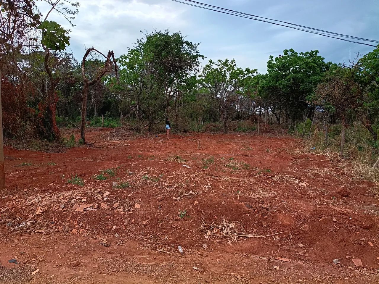 Foto - Igarapé - Bom Jardim
