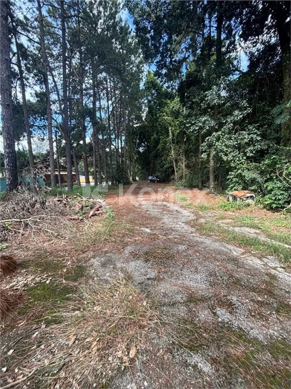 Salas/Conjuntos à venda com 2580 m² em Santa Inês, Caieiras - Foto 4