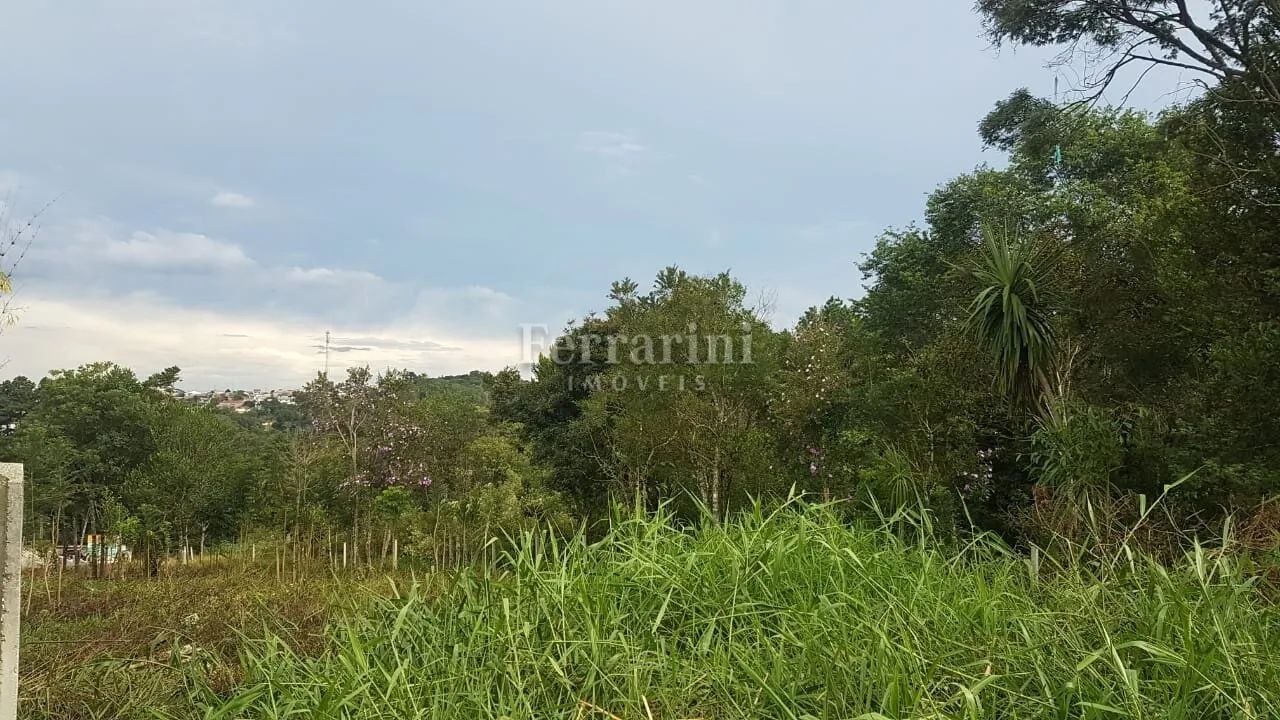 Terreno em Colombo - Foto 3