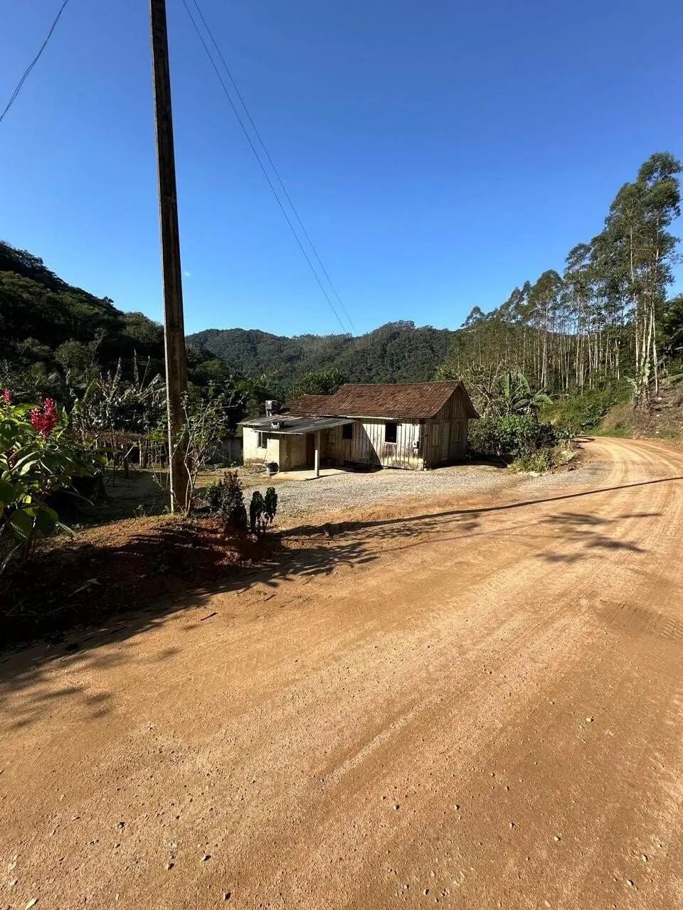 Sítio à Venda, Bairro Vila 12 em Antônio Carlos/SC - Foto 2