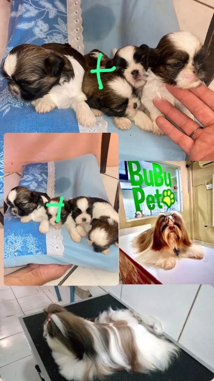 Vendas