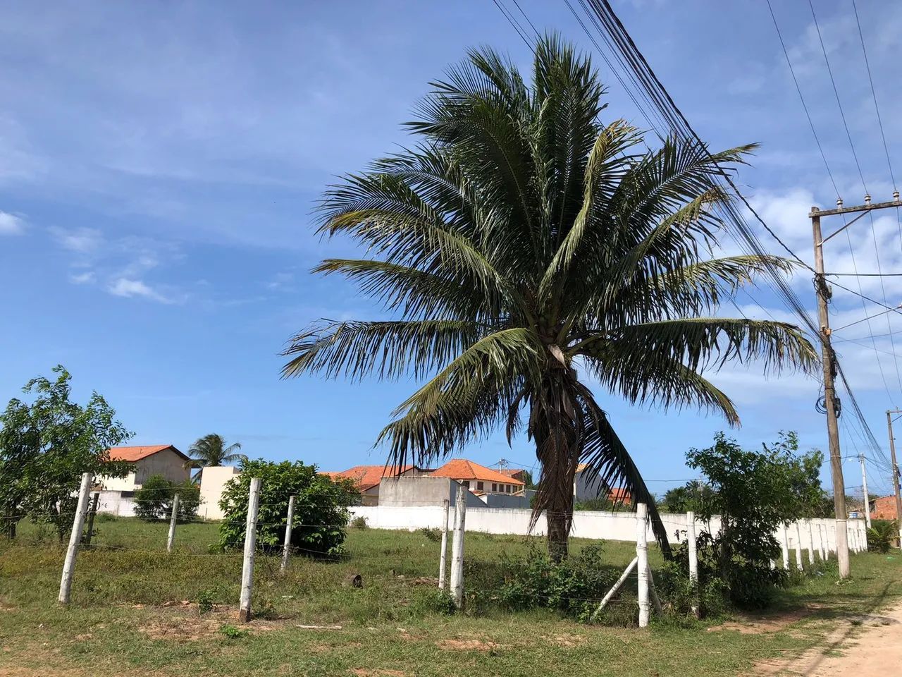 Foto - São João da Barra - 