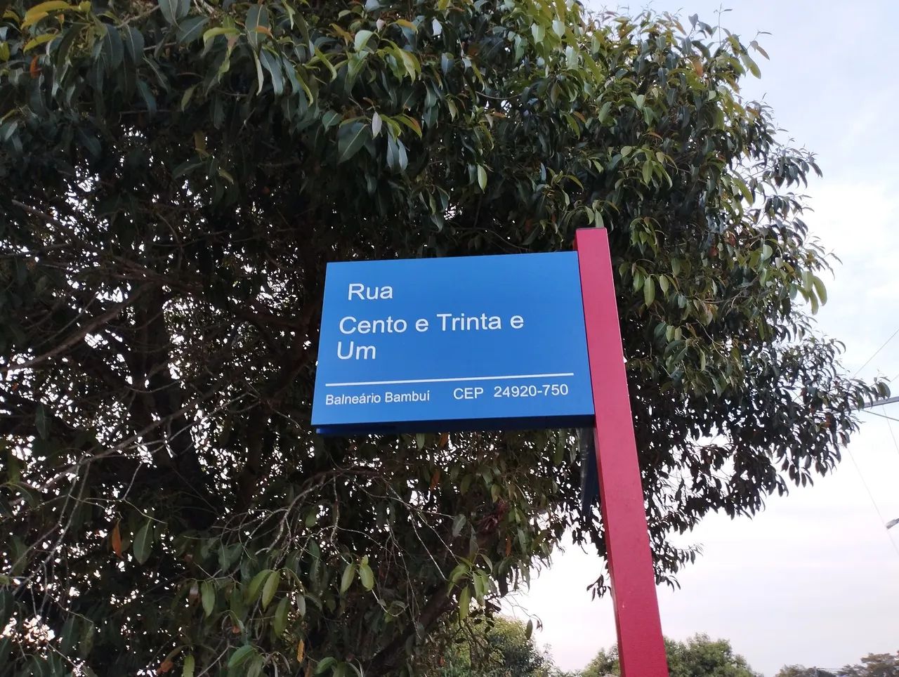 Vendo metade do lote